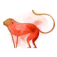 Monkey