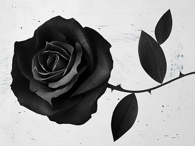 A Waning Moon Rose Ritual for Better Sex