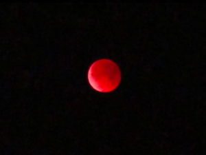 Editor's Note: Some Self-Care Strategies and Goals for Eclipse Season