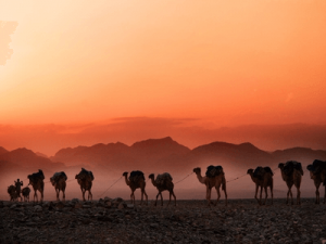 Daily Horoscope for Wednesday January 24