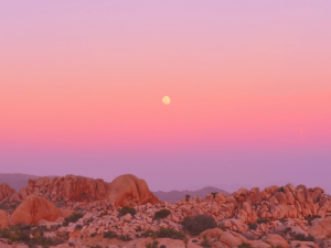 Daily Horoscope for Tuesday, February 20