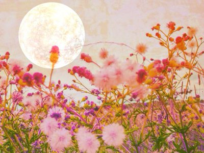 Your Weekly Horoscope for September 4-10: The Pisces Full Moon Brings Closer Connections