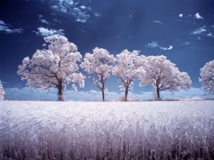 Your March 2019 Horoscope: Mercury Goes Retrograde, Uranus Moves into Taurus, and More!