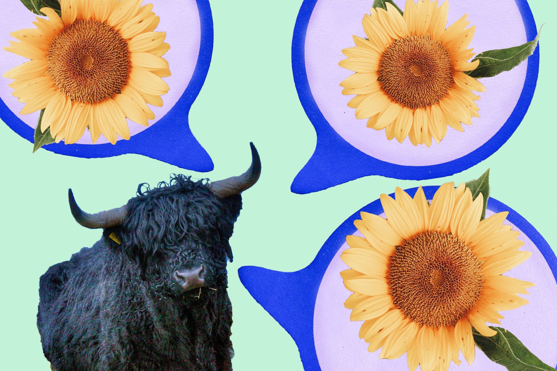 Your Taurus Season Horoscope Is Telling You To Chill Out Horoscope Com