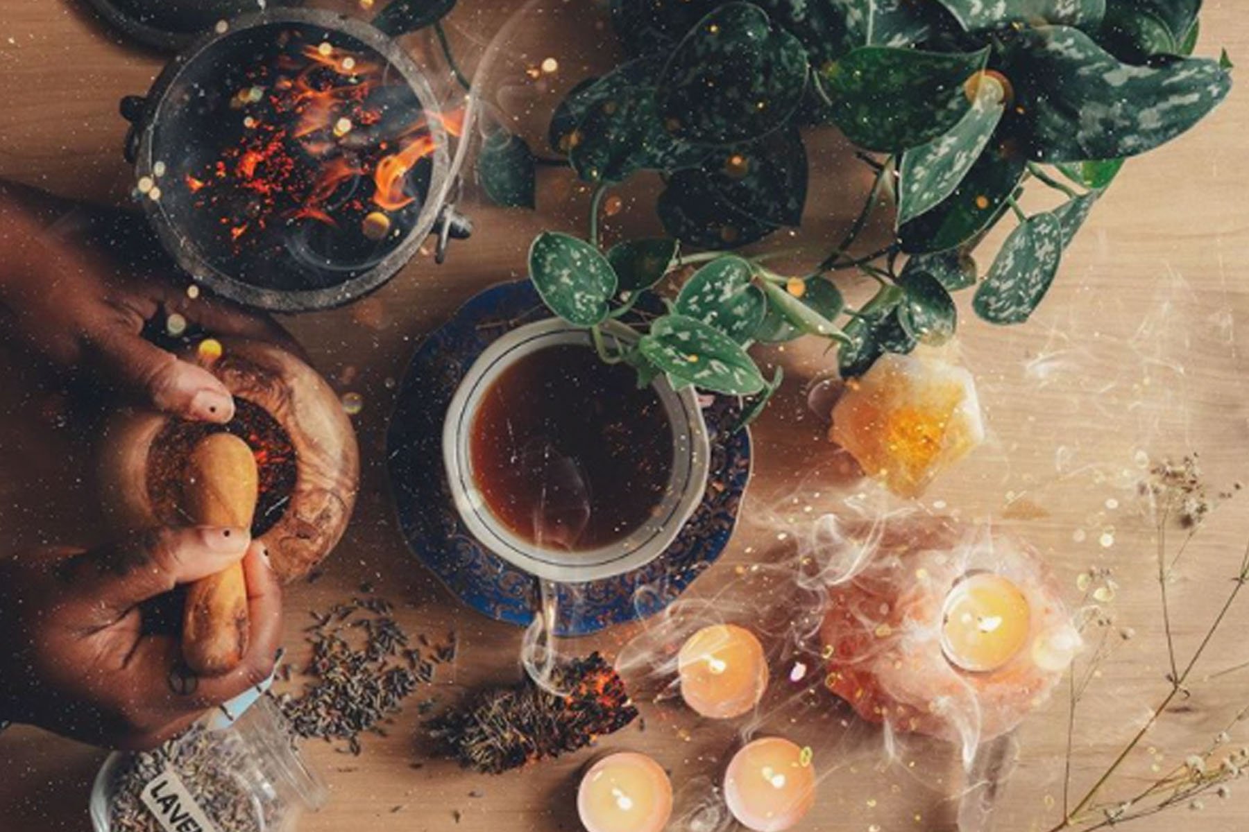 9 Plant-Loving Herbalists to Follow on Instagram