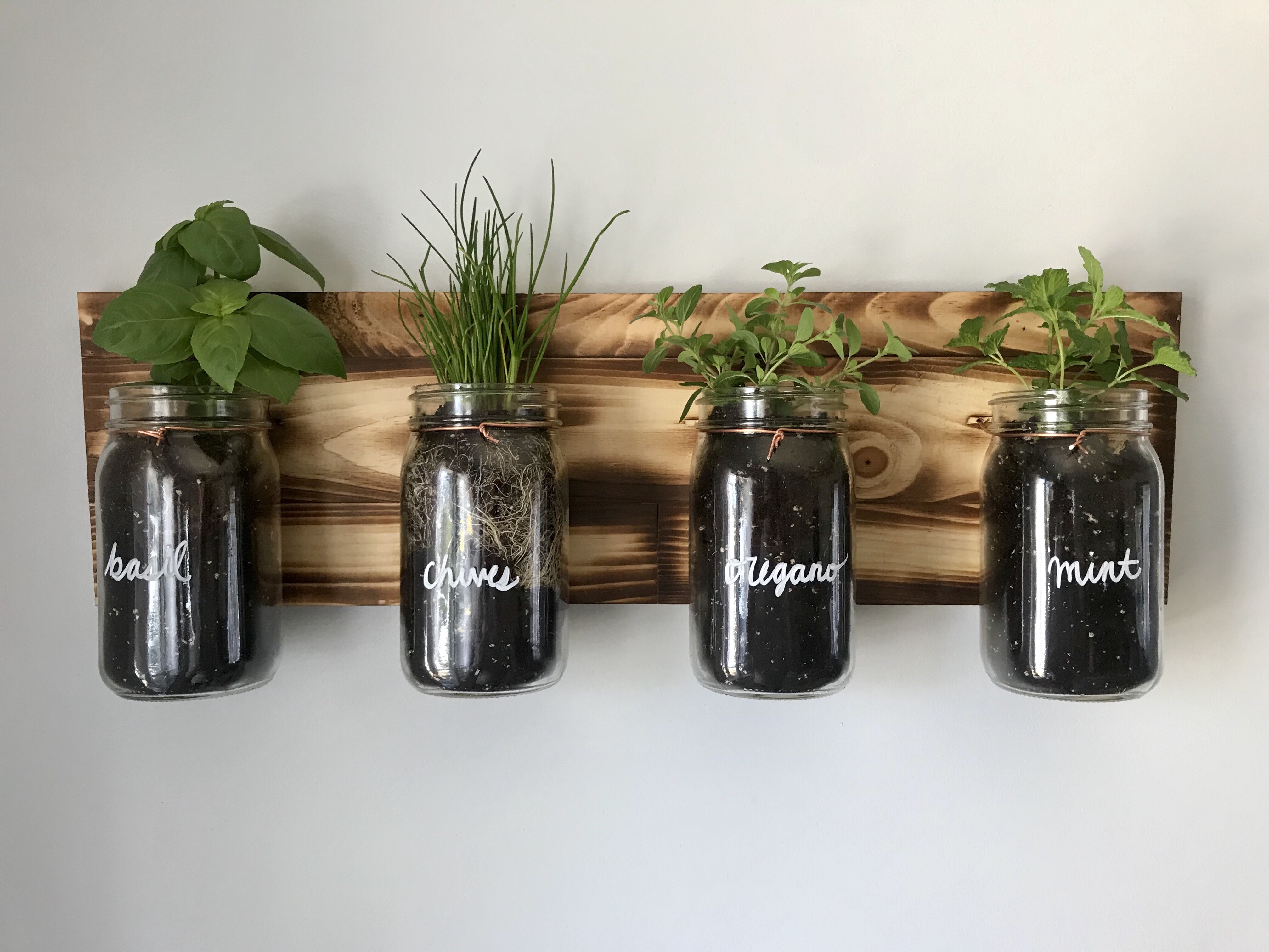 mason jar herbs