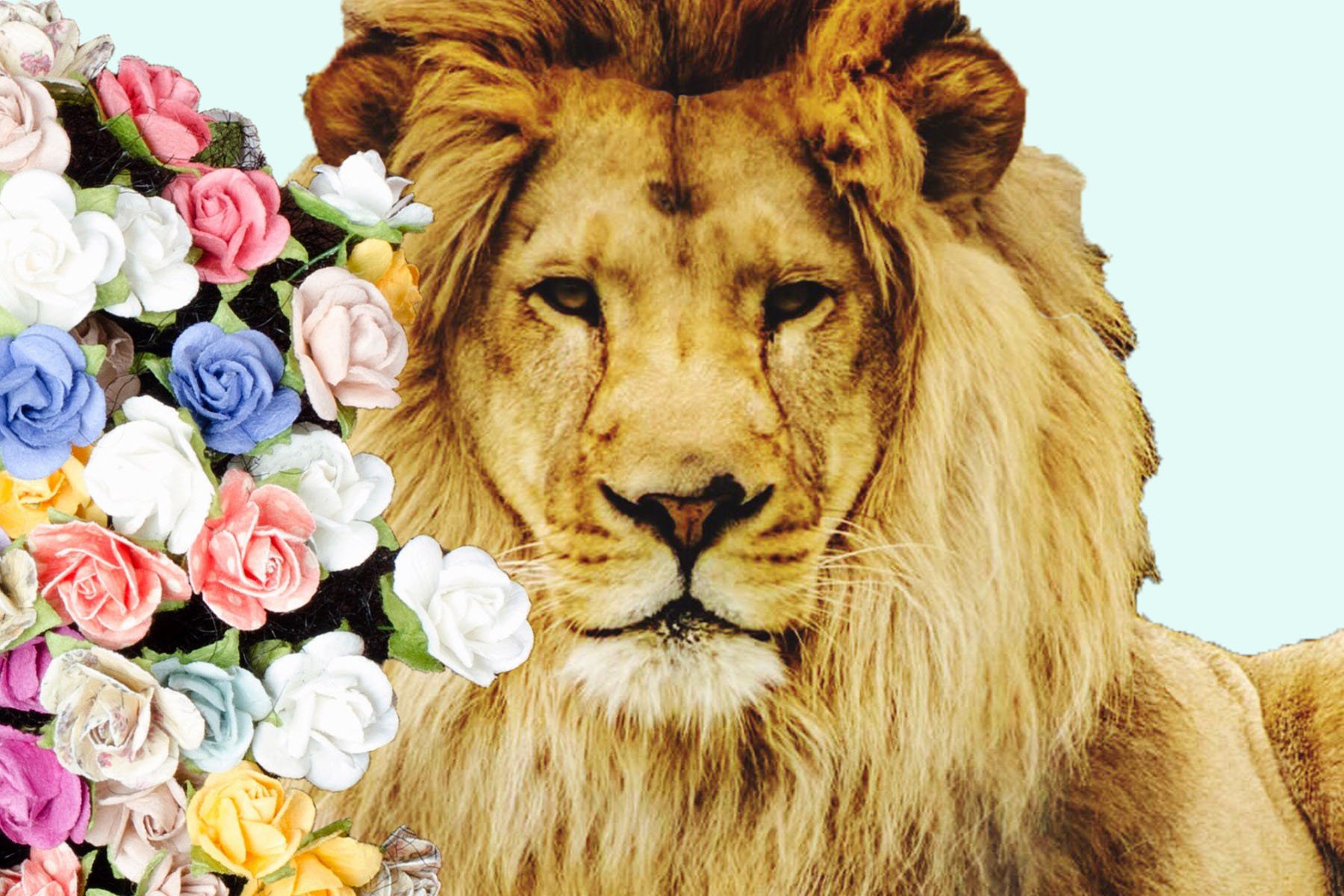 5 Things Everyone Needs This Leo Season (Especially Leos!)