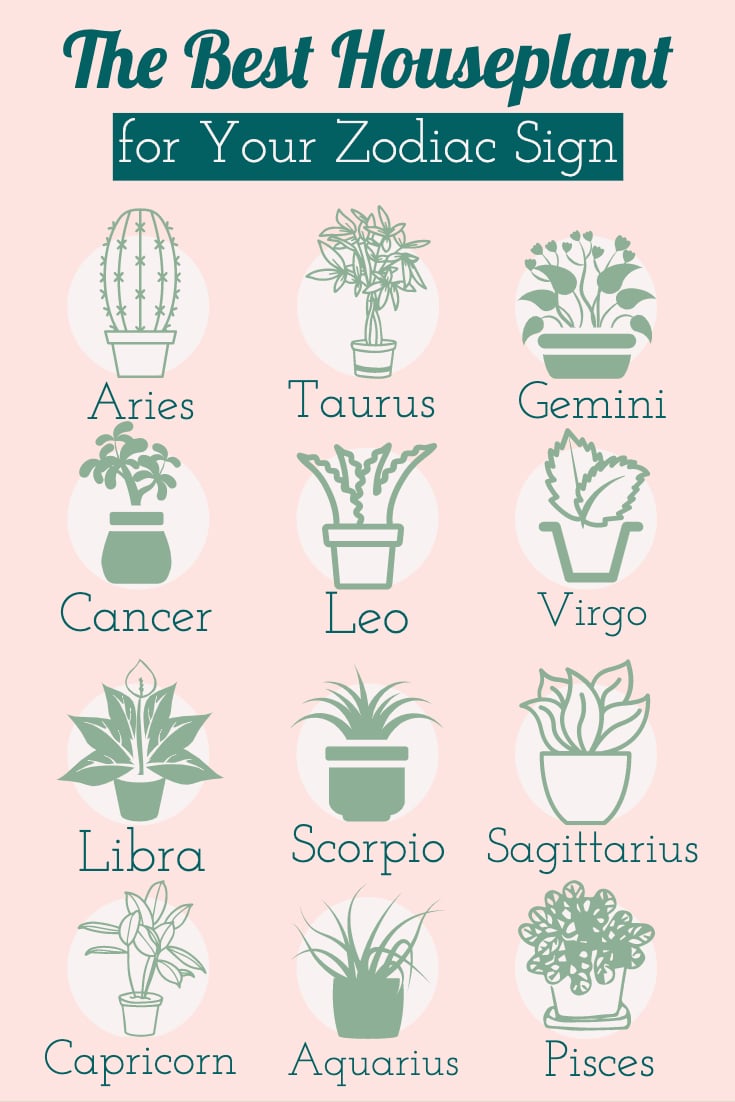 plants zodiac sign