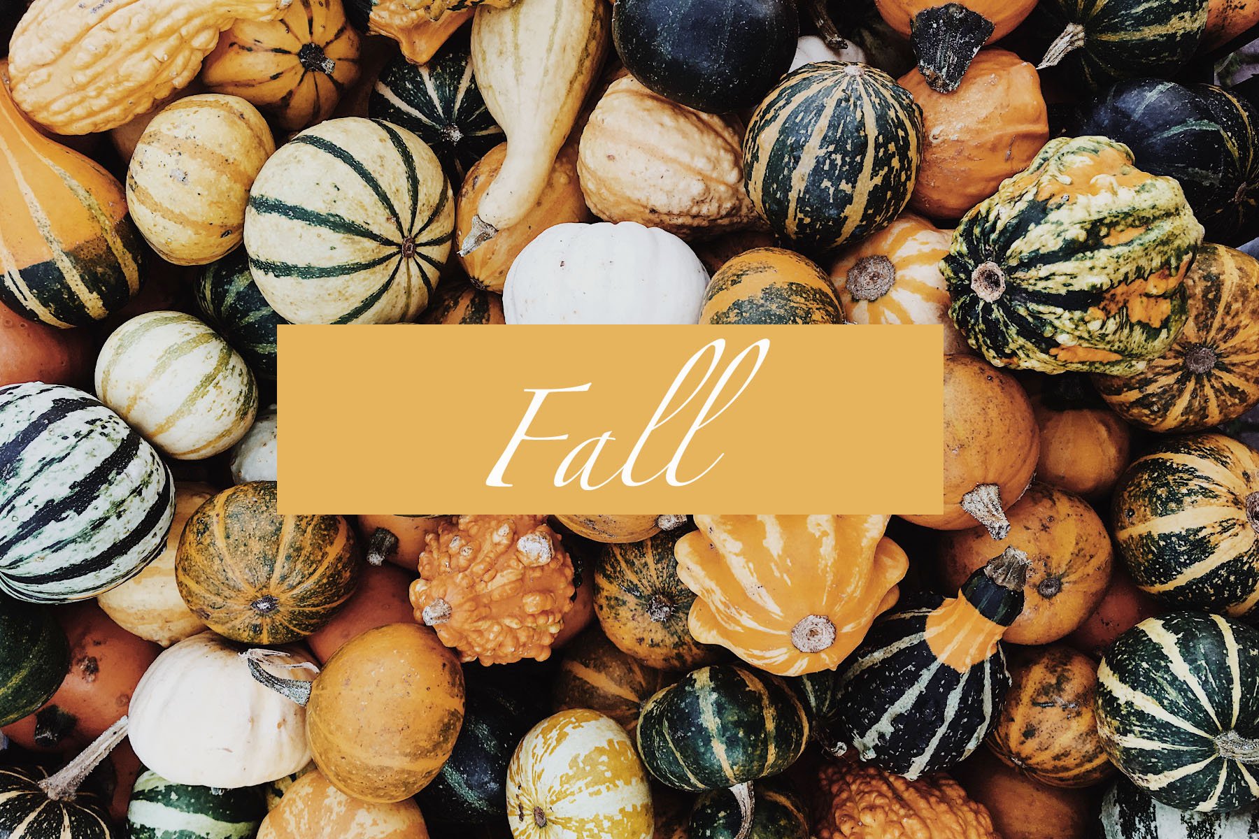 fall