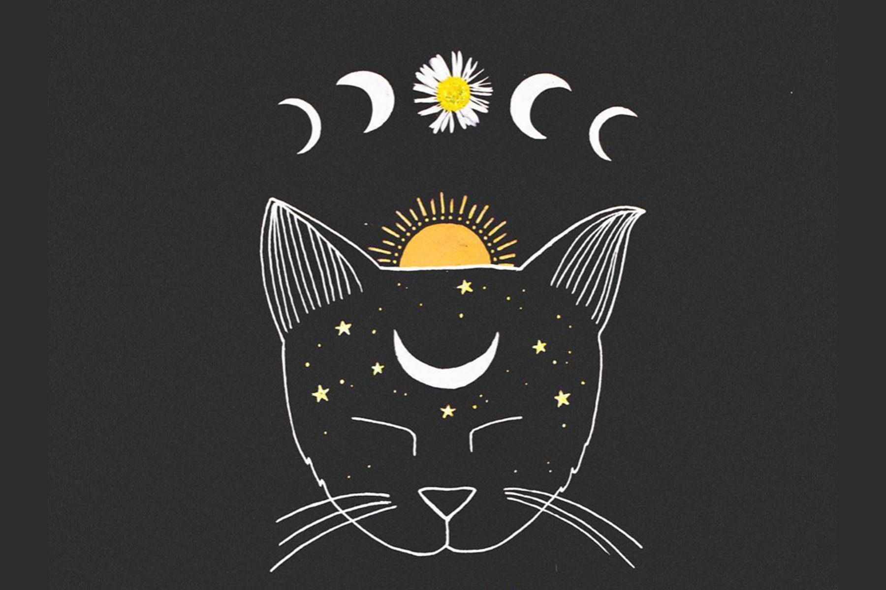 moon cat