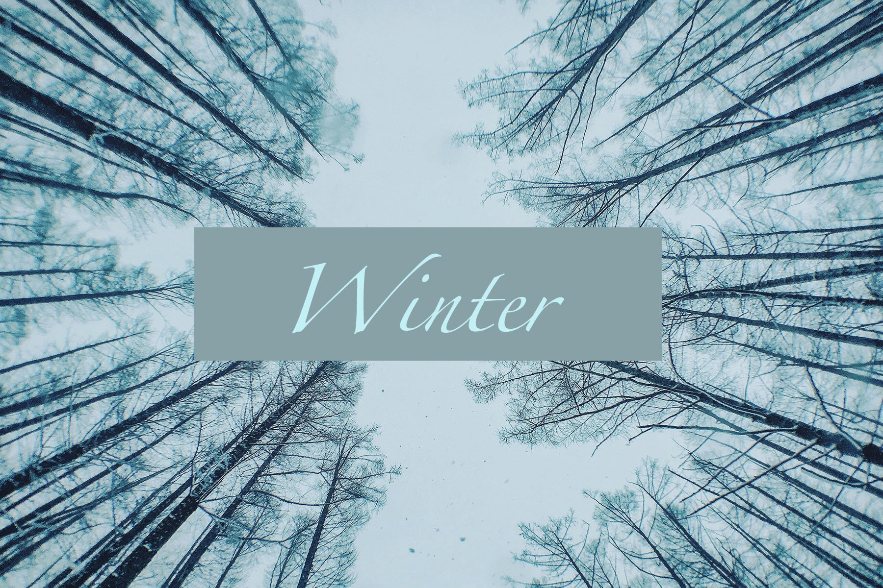 winter