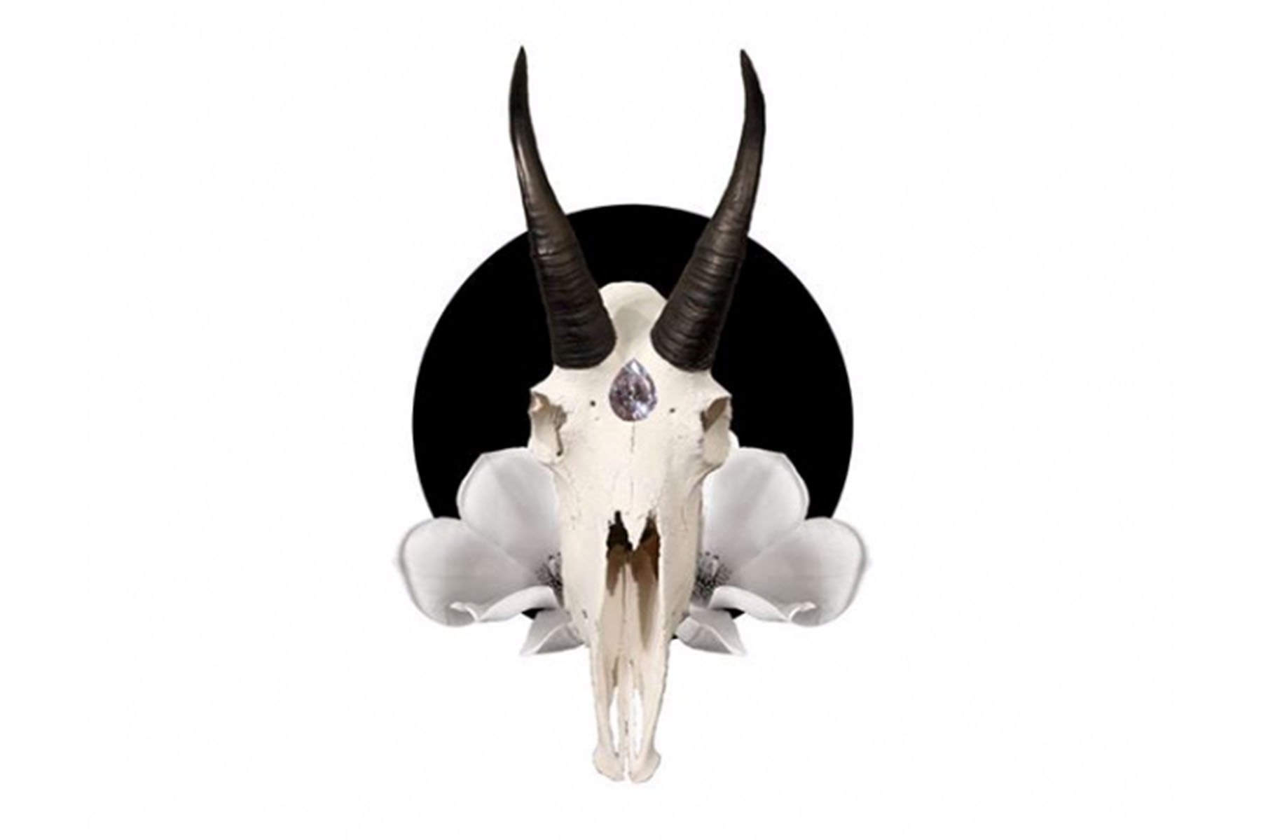 Capricorn Season 2019 Horoscopes