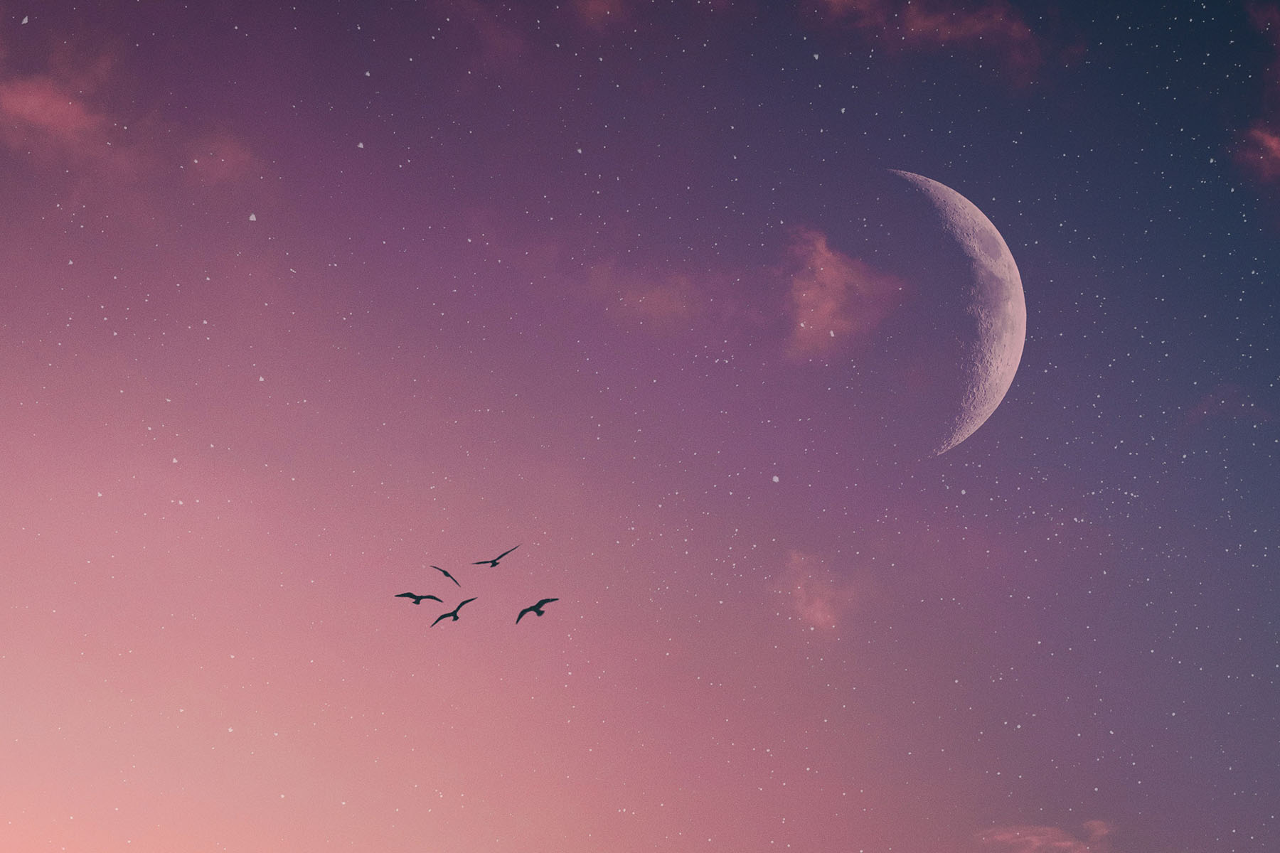 February 2020 New Moon in Pisces Horoscopes