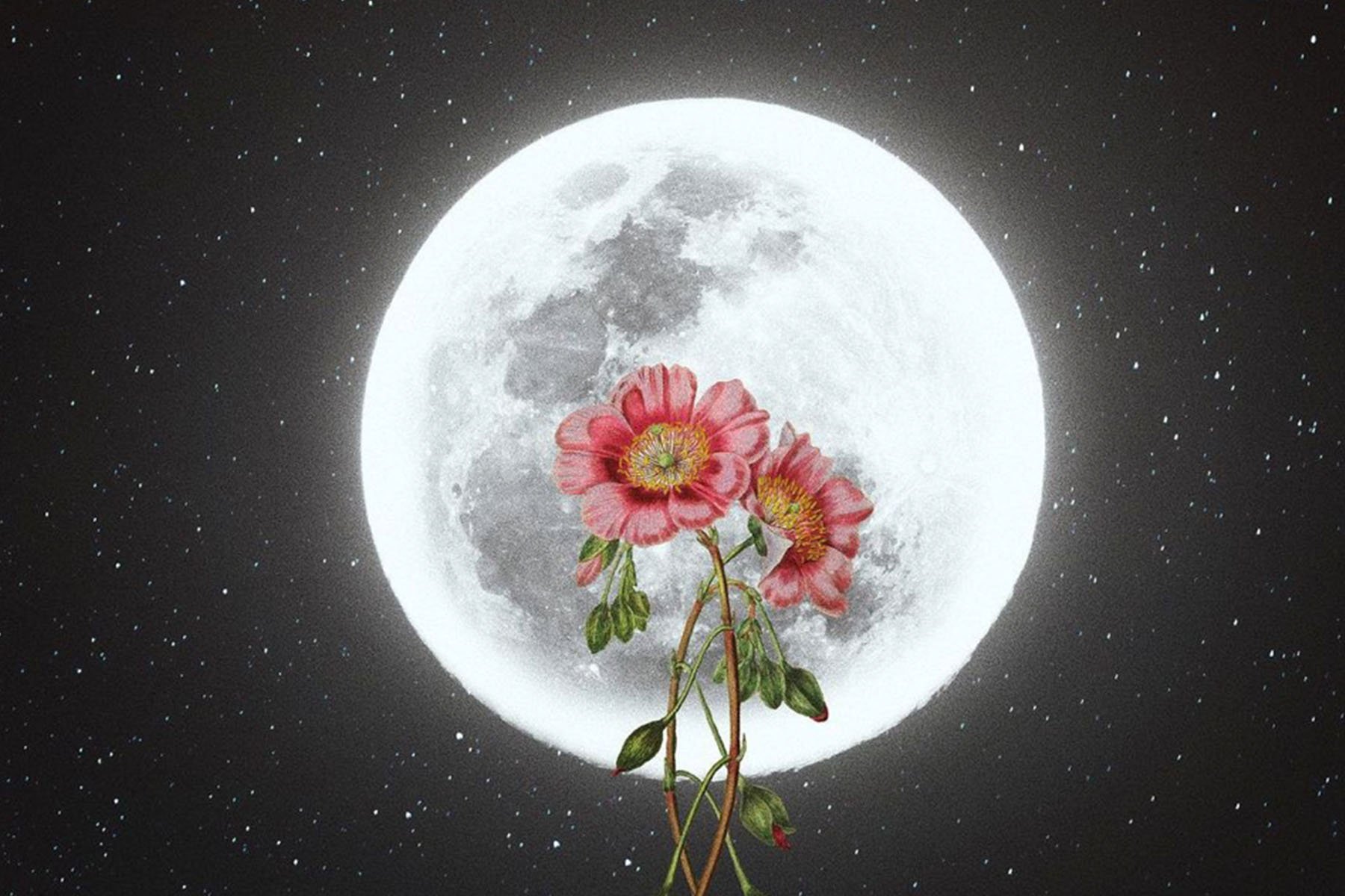 April 2021 Full Moon in Scorpio Horoscopes