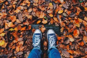 These 4 Signs Will Feel the Fall Equinox the Most