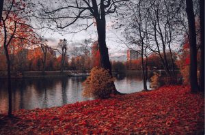 Weekly Horoscope: September 27-October 3, 2021