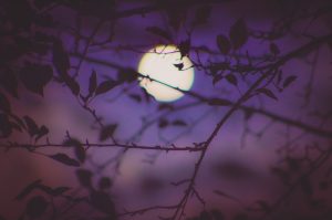 Weekly Horoscope: December 5–11, 2022