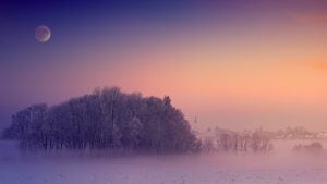 Weekly Horoscope: January 26, 2026-February 1, 2026