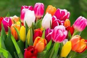 Weekly Horoscope: April 28– May 4, 2025