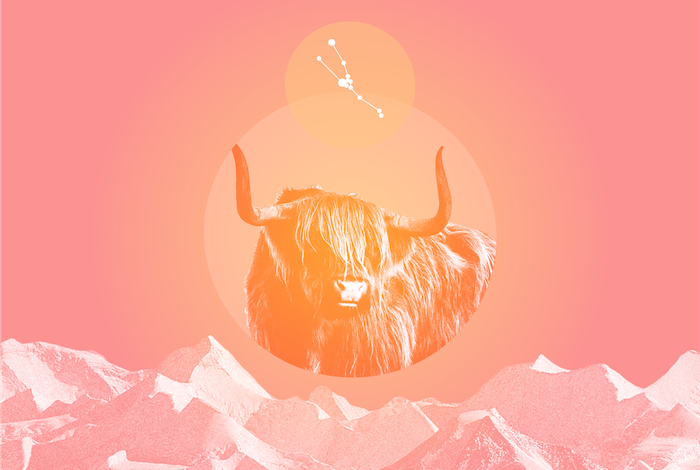 May Taurus Vs April Taurus The Difference And Taurus Types 
