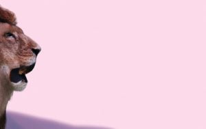 What a Leo Woman Is Really Like