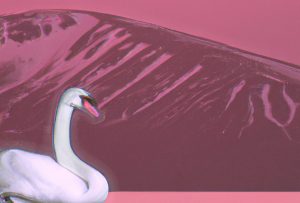 Libra Traits That Are So Right