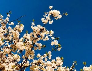 Weekly Horoscope: April 7– April 13, 2025