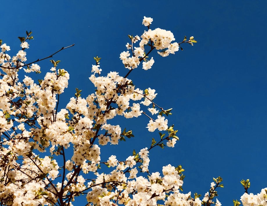 Weekly Horoscope: April 7– April 13, 2025