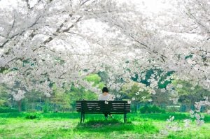 Weekly Horoscope: April 14– April 20, 2025