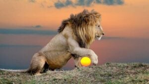 Born Under Leo? Here Is Everything Astrology Says About You