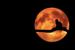 Weekly Horoscope: October 27 – November 2, 2025 Weekly Horoscope: October 27 – November 2, 2025