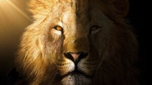 3 Lion’s Gate Portal Rituals for Manifesting on 8/8